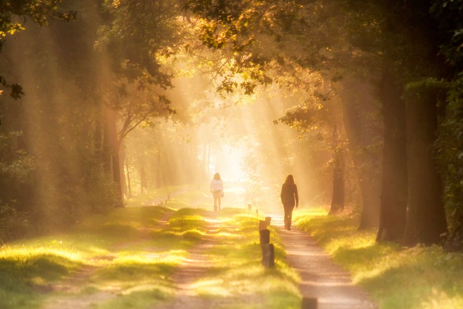 Caminho ao amanhecer representando esperança no tratamento do transtorno bipolar